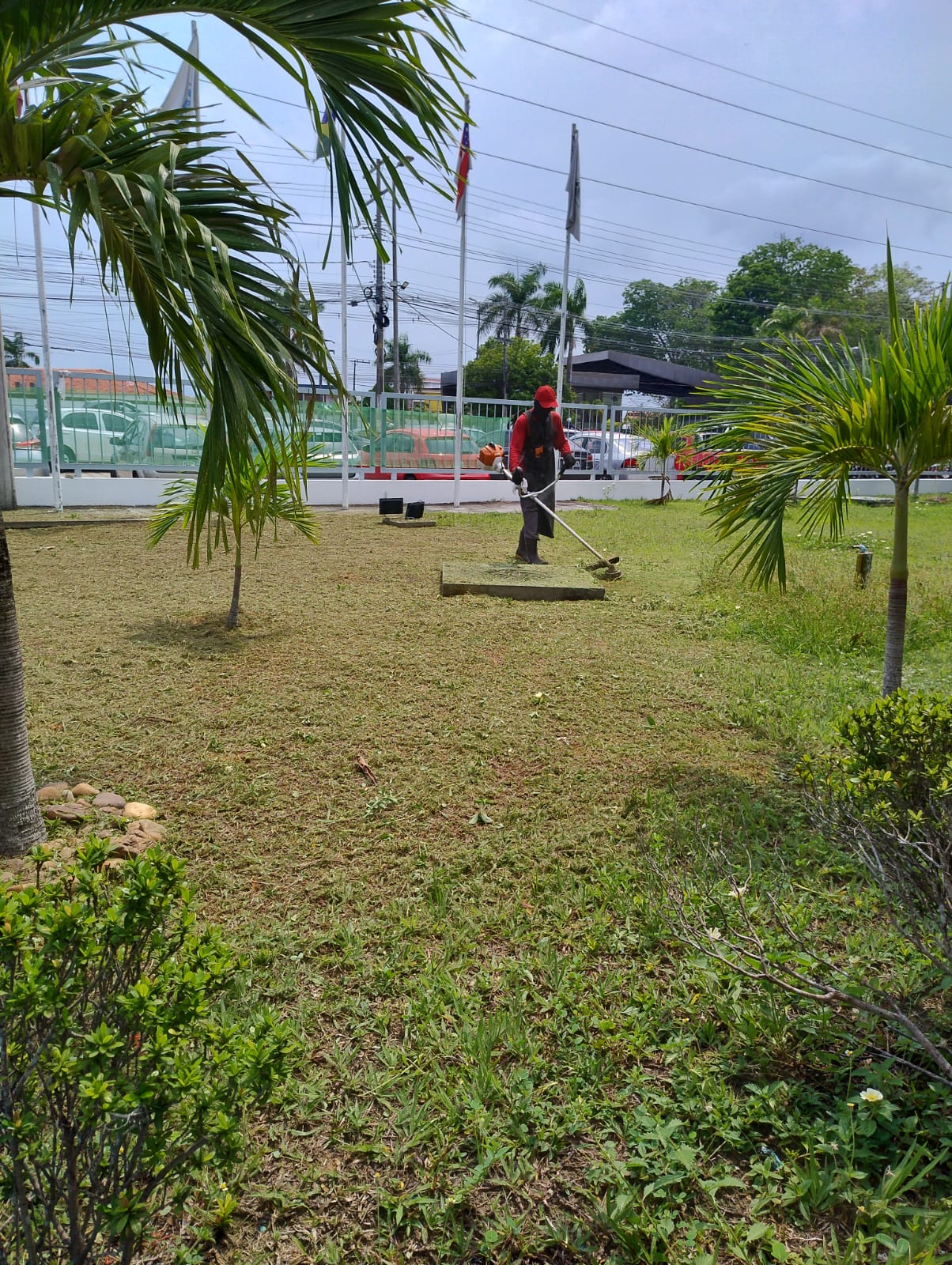 WhatsApp Image 2025-01-20 at 15.22.04.jpeg